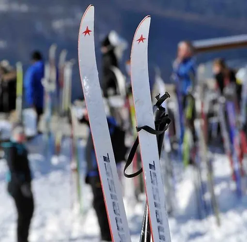 Otel Niedersfeld-winterberg 3*