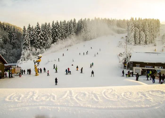 Hotel Niedersfeld-winterberg 3*