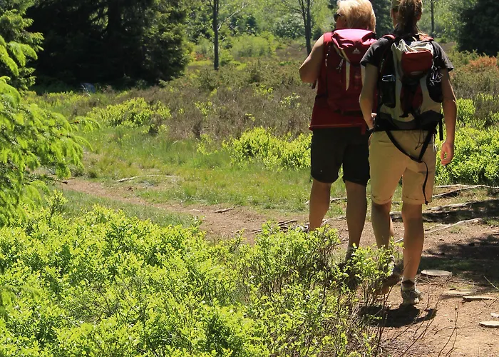 ホテル Niedersfeld-winterberg ヴィンターベルク