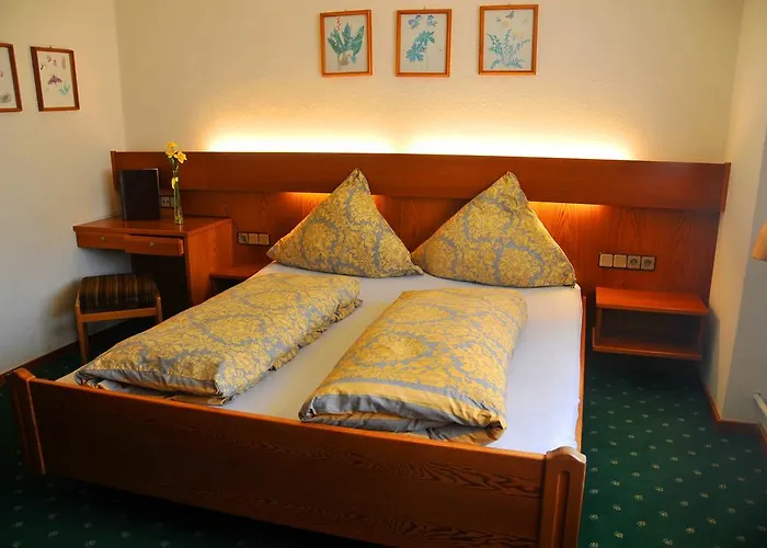 Niedersfeld-winterberg Otel